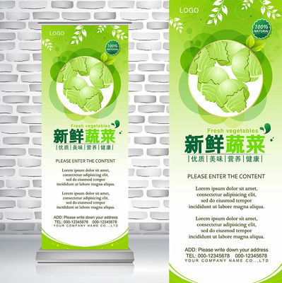绿色实践 有机包菜的生态与健康之路