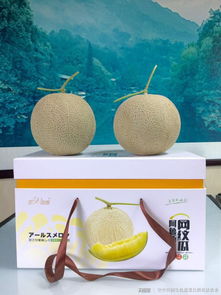有机蔬菜种植创业计划书 种养结合实现十亩生态循环模式