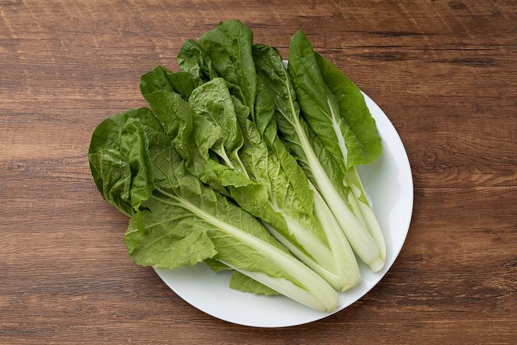 绿色有机蔬菜,小白菜四季青小青菜,静物特写图片